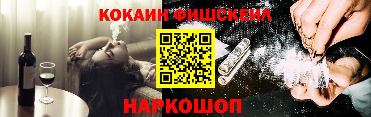 Кудрово  COCAIN Fish Scale  COCAIN Эквадор  Вход с VPN 