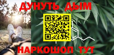 сатива Кимры