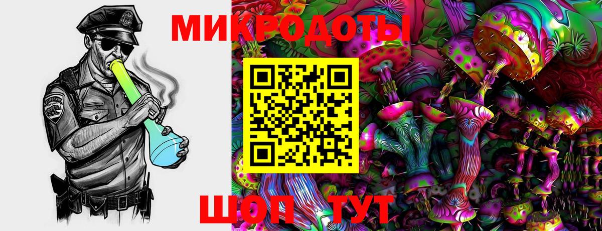 Псилоцибиновые грибы MAGIC MUSHROOMS  Вход с VPN  Кудрово  Псилоцибиновые грибы GOLDEN TEACHER 