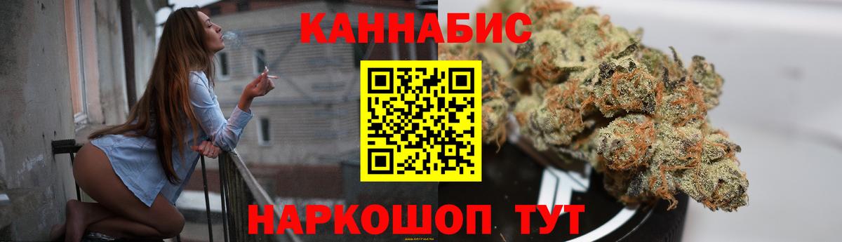 Бошки марихуана White Widow  Вход с VPN  Кудрово  Шишки марихуана конопля 